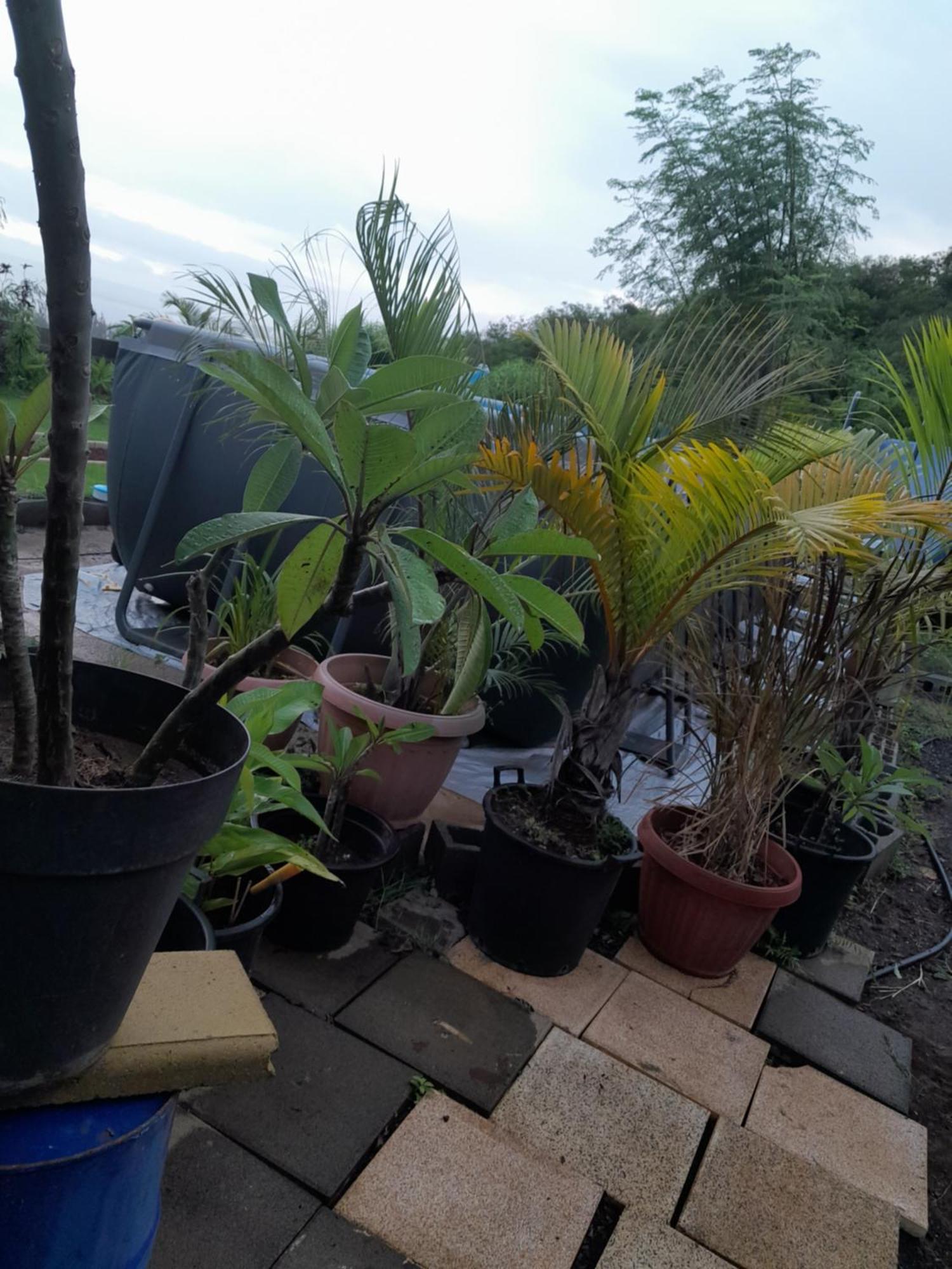 Apartament Le Refuge Saint-Leu Zewnętrze zdjęcie